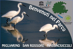 Parco di Migliarino Massaciuccoli San Rossore 47